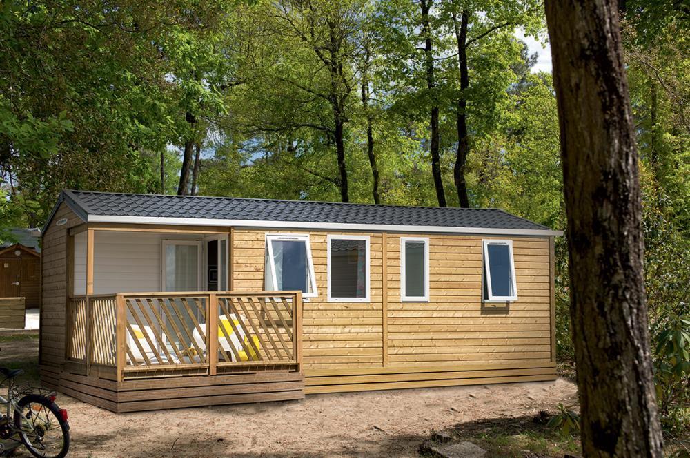 Bospark De Brenkberg Schinveld Стая снимка