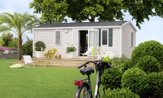 Bospark De Brenkberg Schinveld Стая снимка