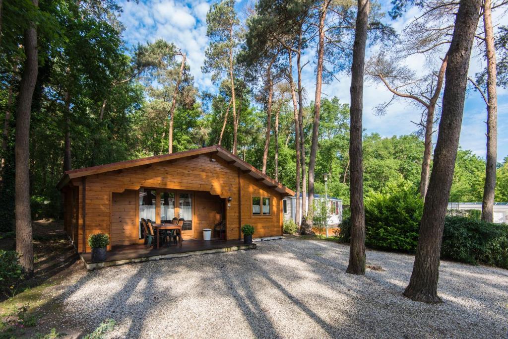 Bospark De Brenkberg Schinveld Стая снимка