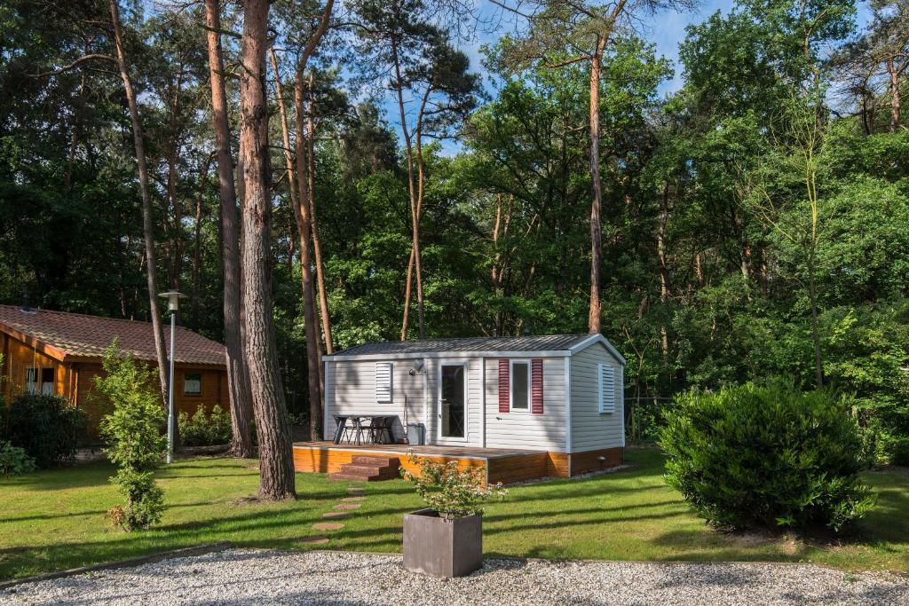Bospark De Brenkberg Schinveld Стая снимка