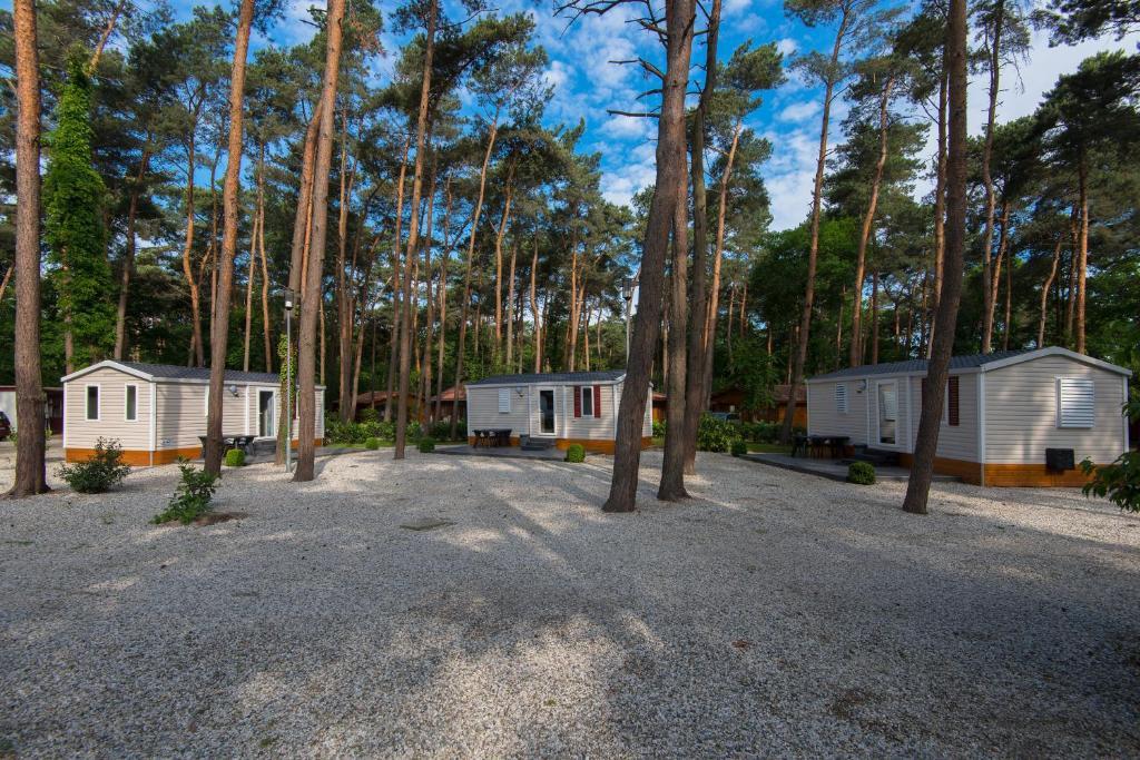 Bospark De Brenkberg Schinveld Стая снимка