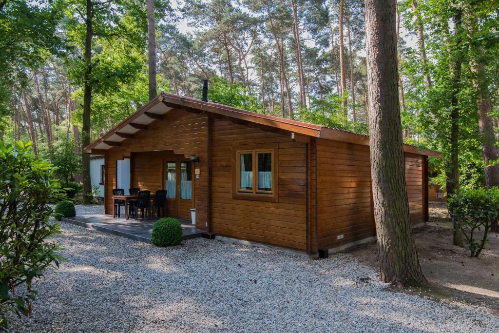 Bospark De Brenkberg Schinveld Стая снимка